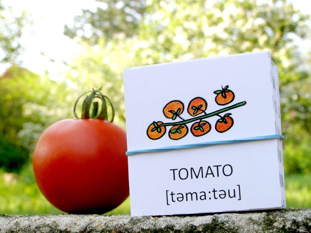 Pexeso Zábavná angličtina - ovoce a zelenina