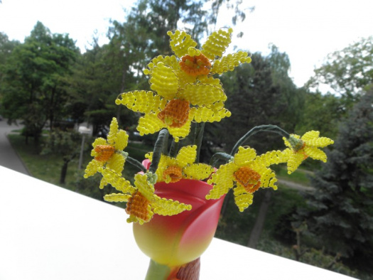 Narciscky do vázy
