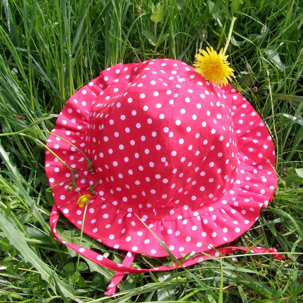 Klobouček beruškový