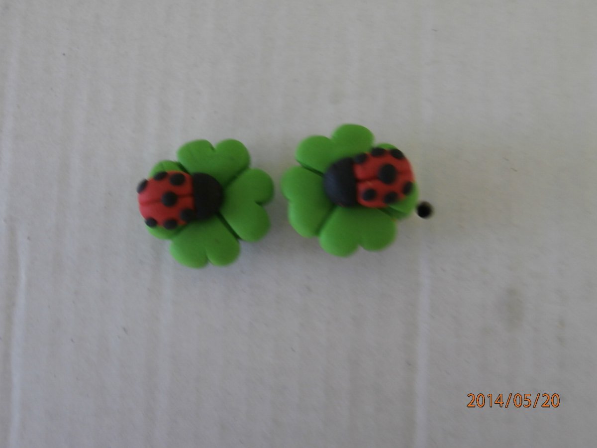 Čtyřlístek s beruškou