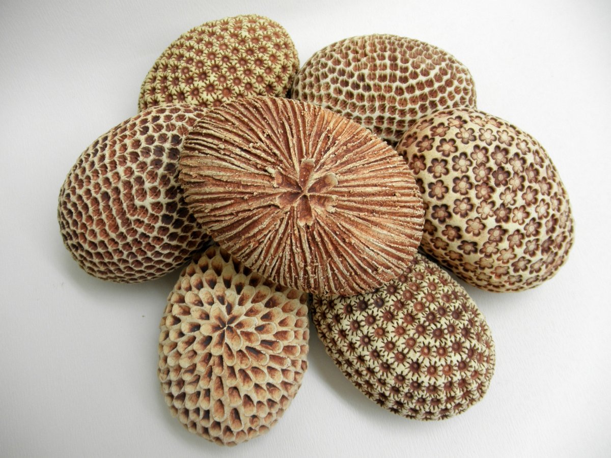 Jen tak k dekoraci- ovál