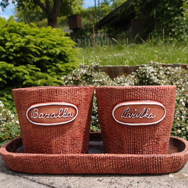 Dvojkvětináč bylinkový