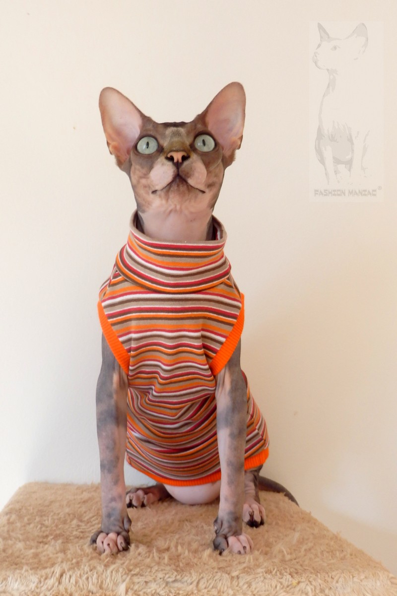 Triko pro Sphynxe