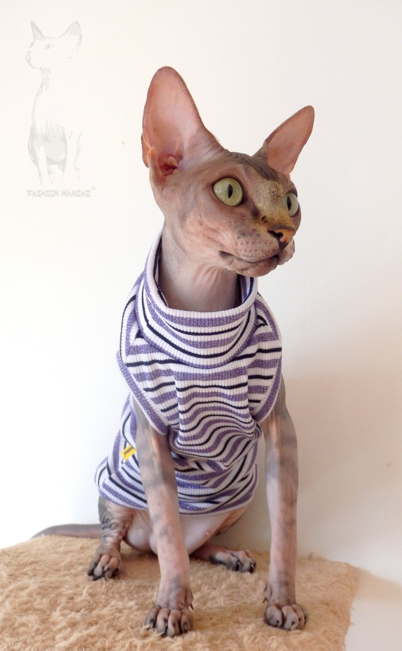 Obleček pro Sphynxe