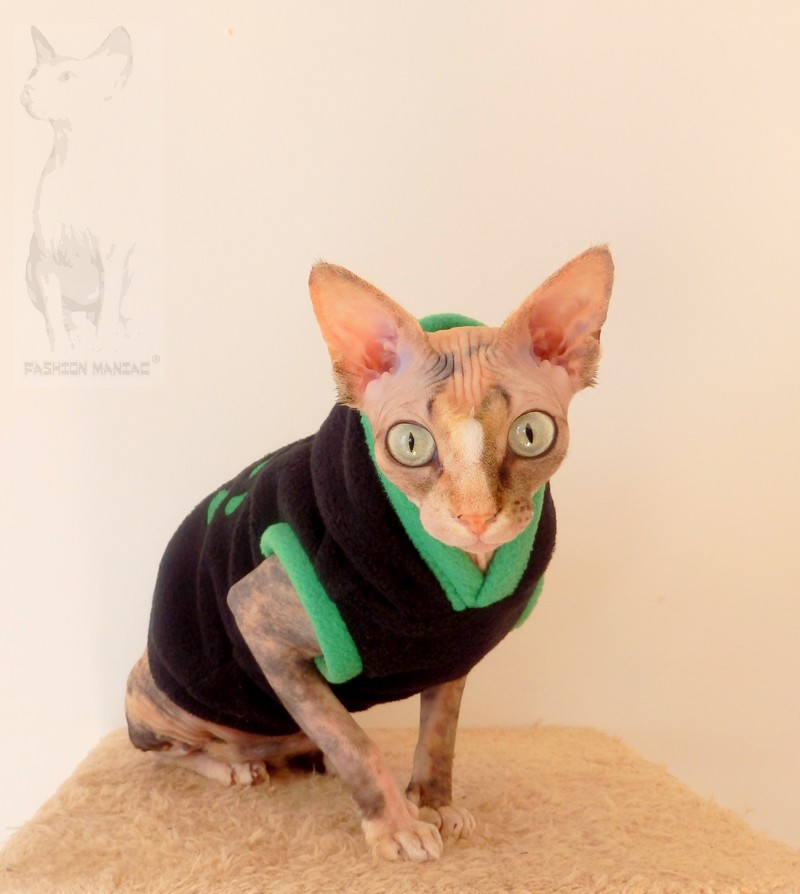 Mikina pro Sphynx s pacičkou