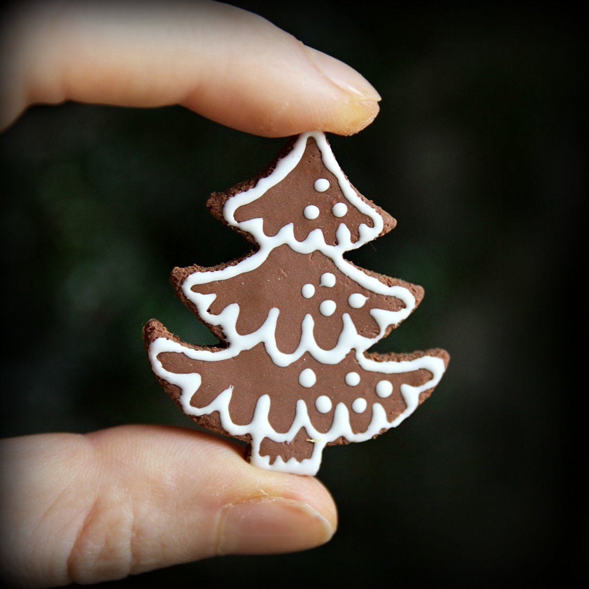 Perníkový stromeček - brož