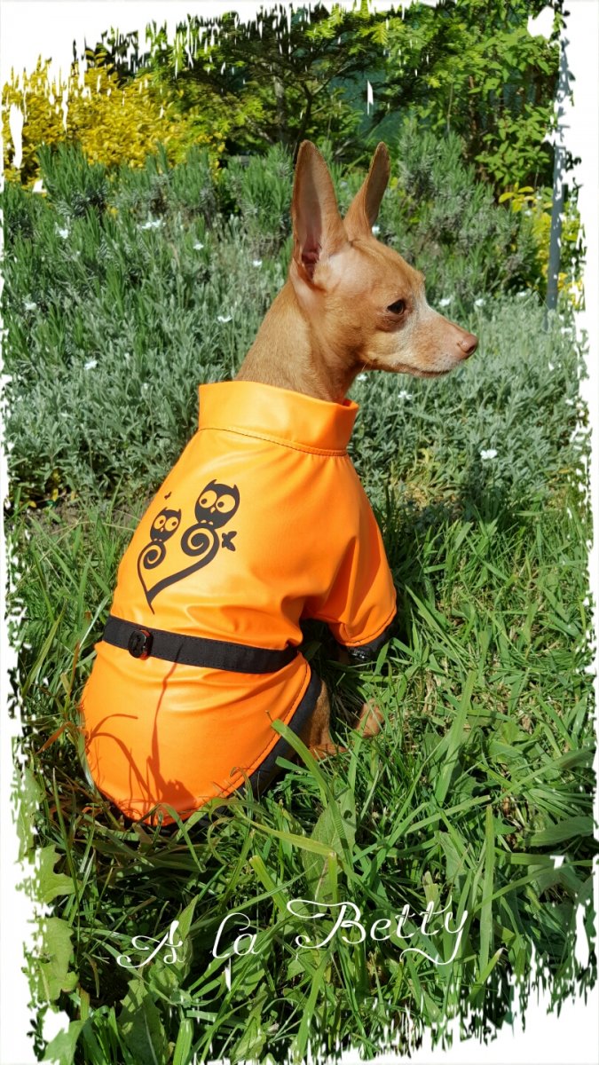 PLÁŠTĚNKA "ORANGE" vel. XS/S