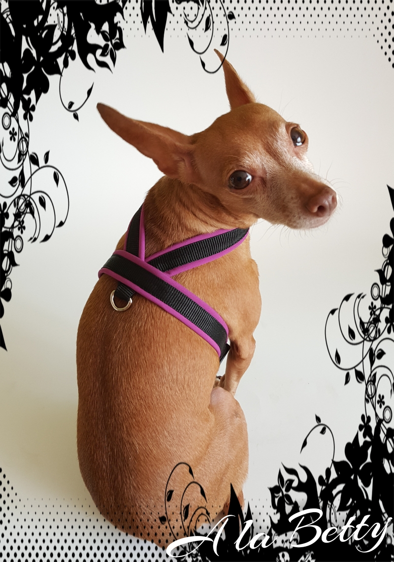 POSTROJ PRO PSY M/L, fialový