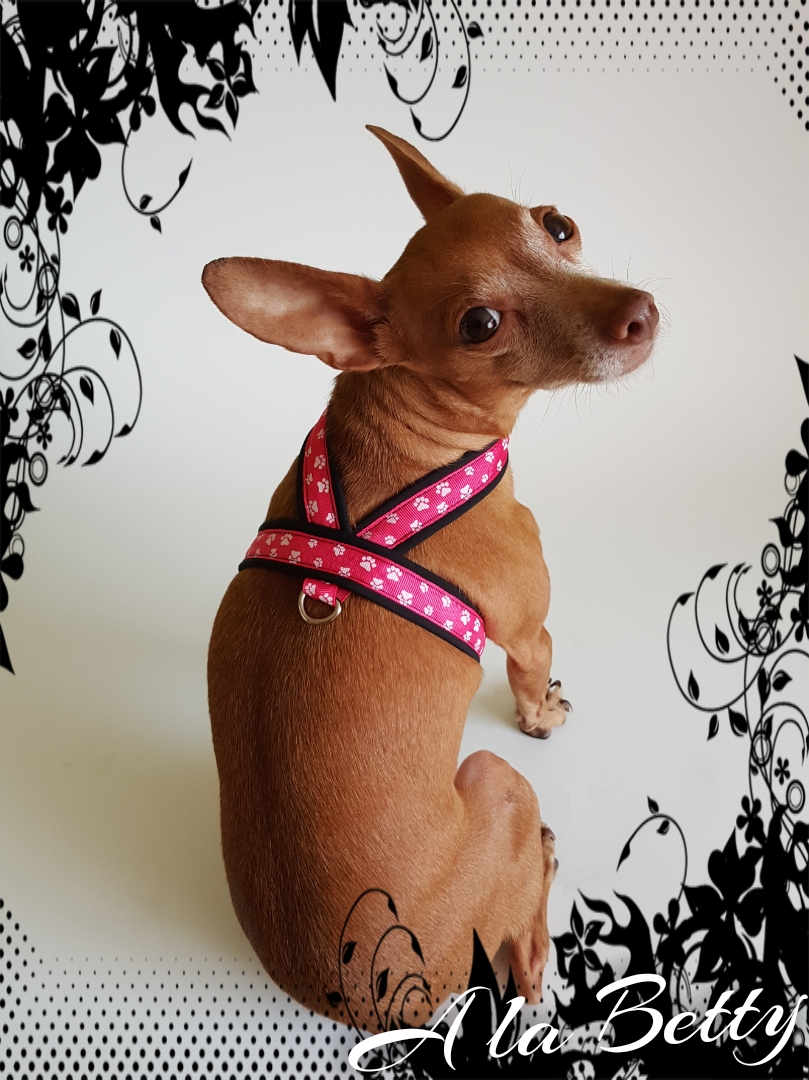 POSTROJ PRO PSY M/L, neonový růžový s tlapičkami