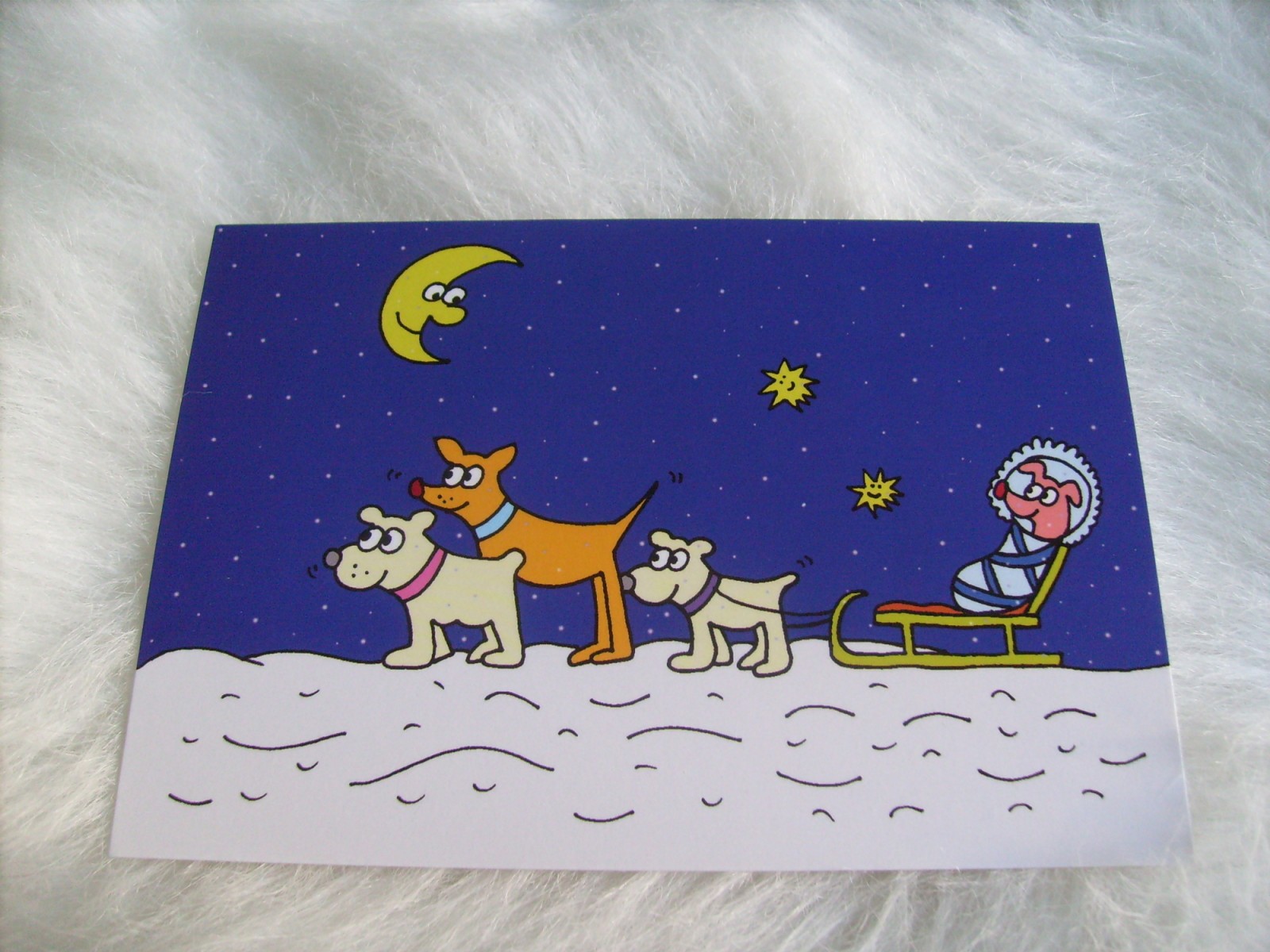 Pejsčí smečka s miminkem