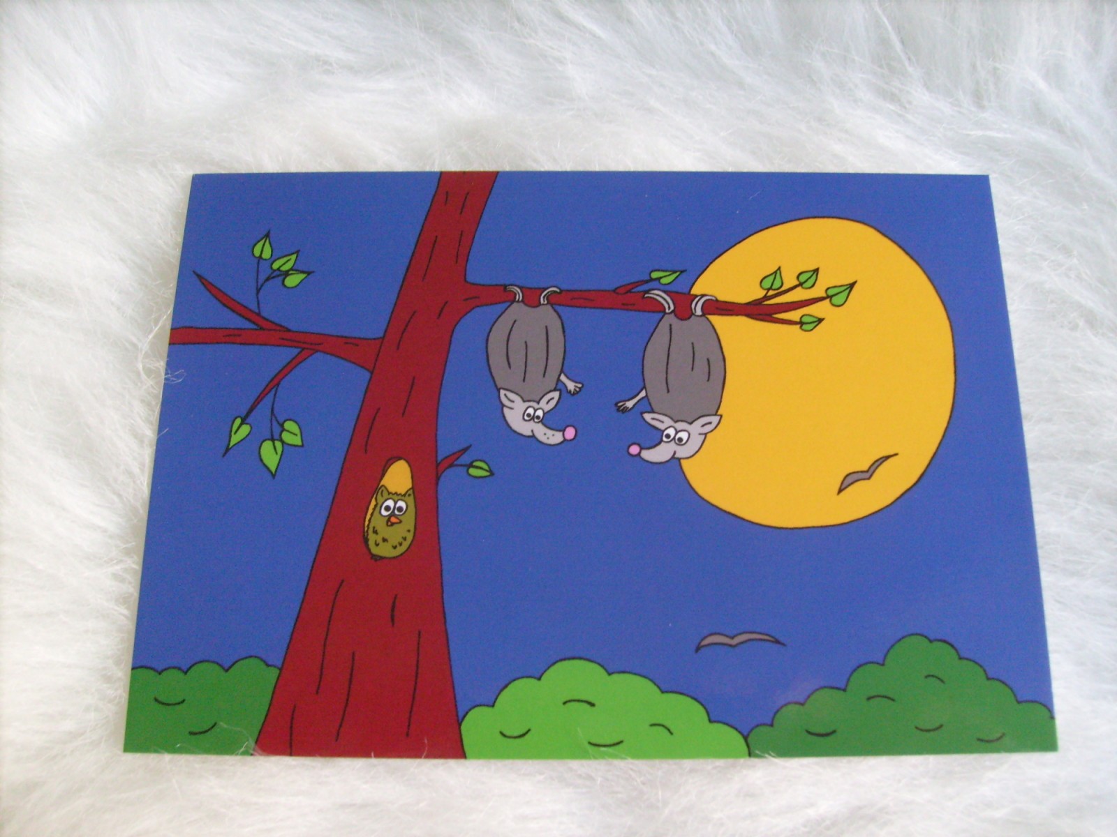 Co se děje v noci...