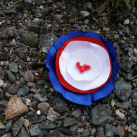 Brož- v národních barvách č.1160