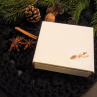 Dárková sada propolisová s vánoční vůní - poklad očistný + pečující o rty