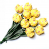 Když jaro přichází a tulipány rozkvétají. č 1049