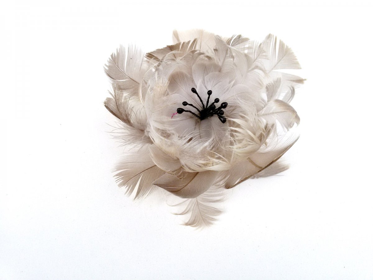 Brož Plumeus natura č.1280