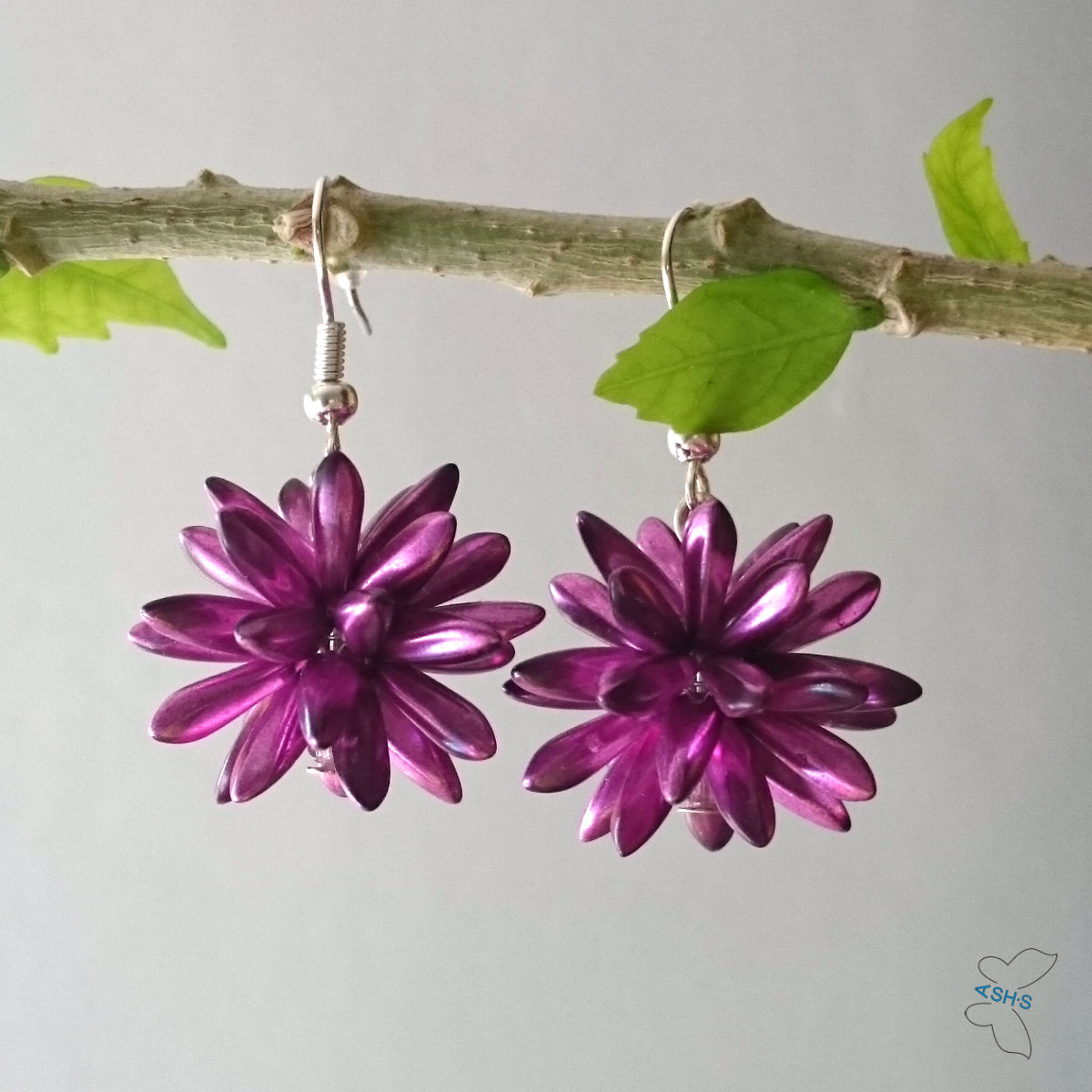 Růžovofialkový ježura s pokovem