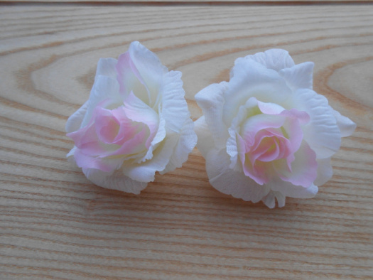 Květ růže bílá + růžový střed