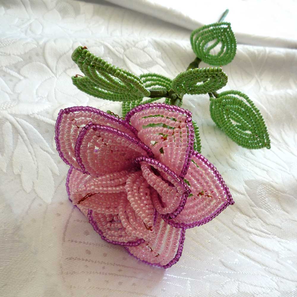 Růže velká - růžová