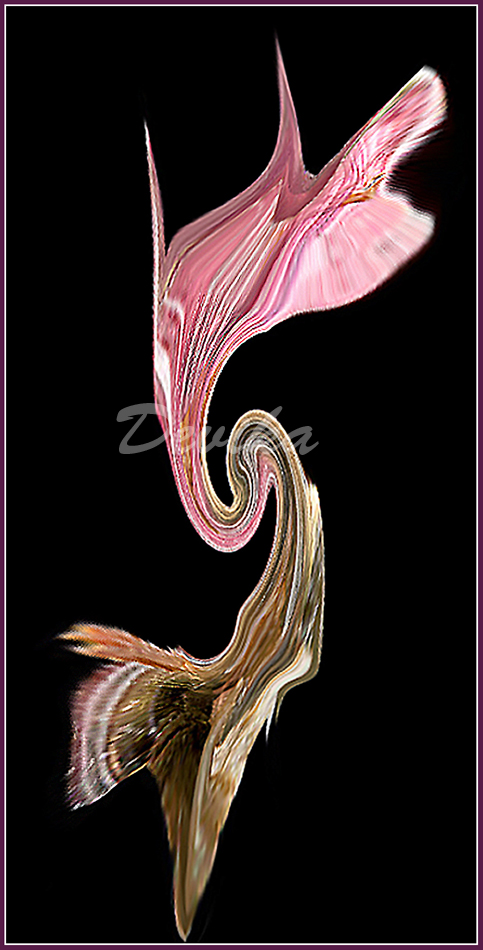 Růžové dřevo - 30x60