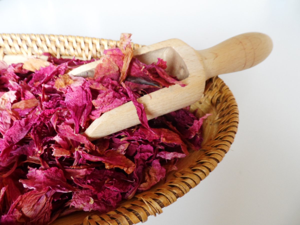 Pivoňka - sušený květ - 10 g