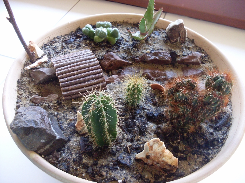 Minizahrádka A Slunce pálí jen