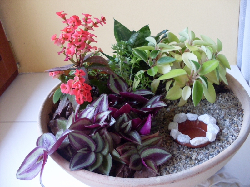 Minizahrádka V kamení