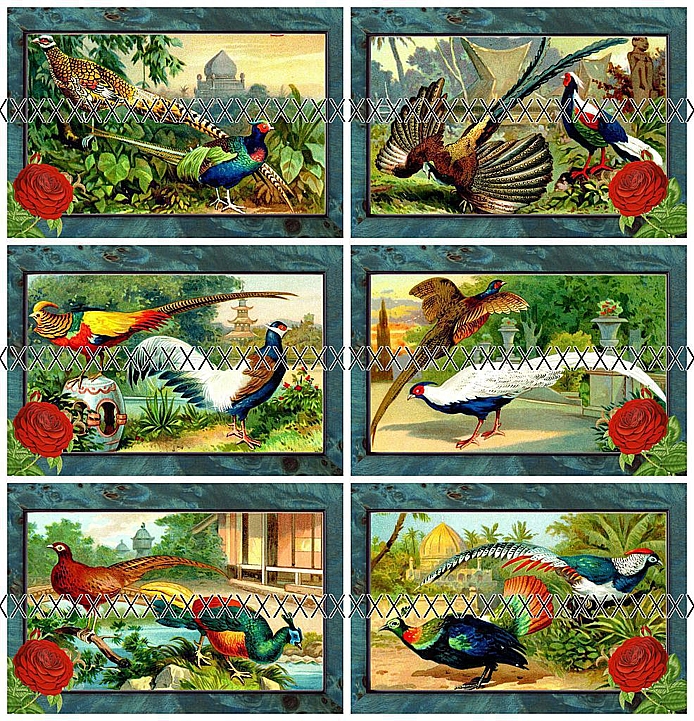 Bavlněná látka - panel - výběr -SG87