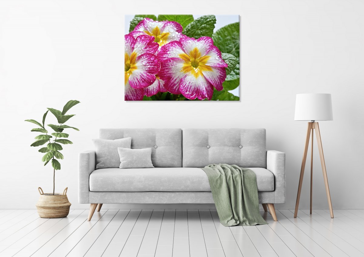 Jsem sladce Tva (Fotoobraz 60x45 cm)