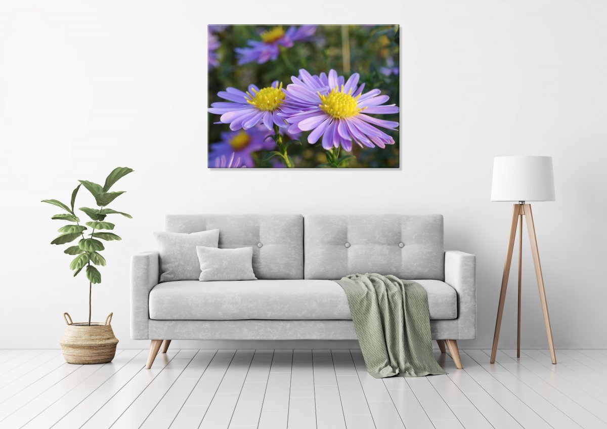 My dva (Fotoobraz 60x45 cm)