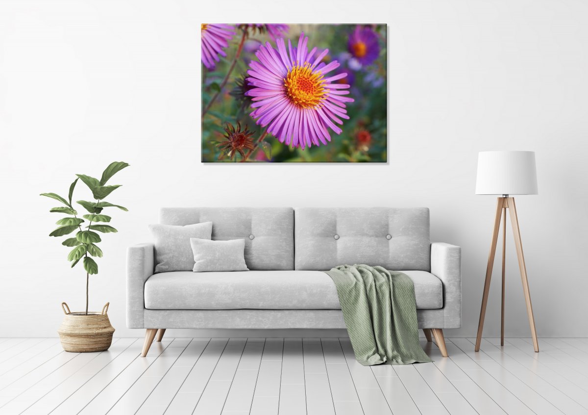 Ohnivá (Fotoobraz 60x45 cm)