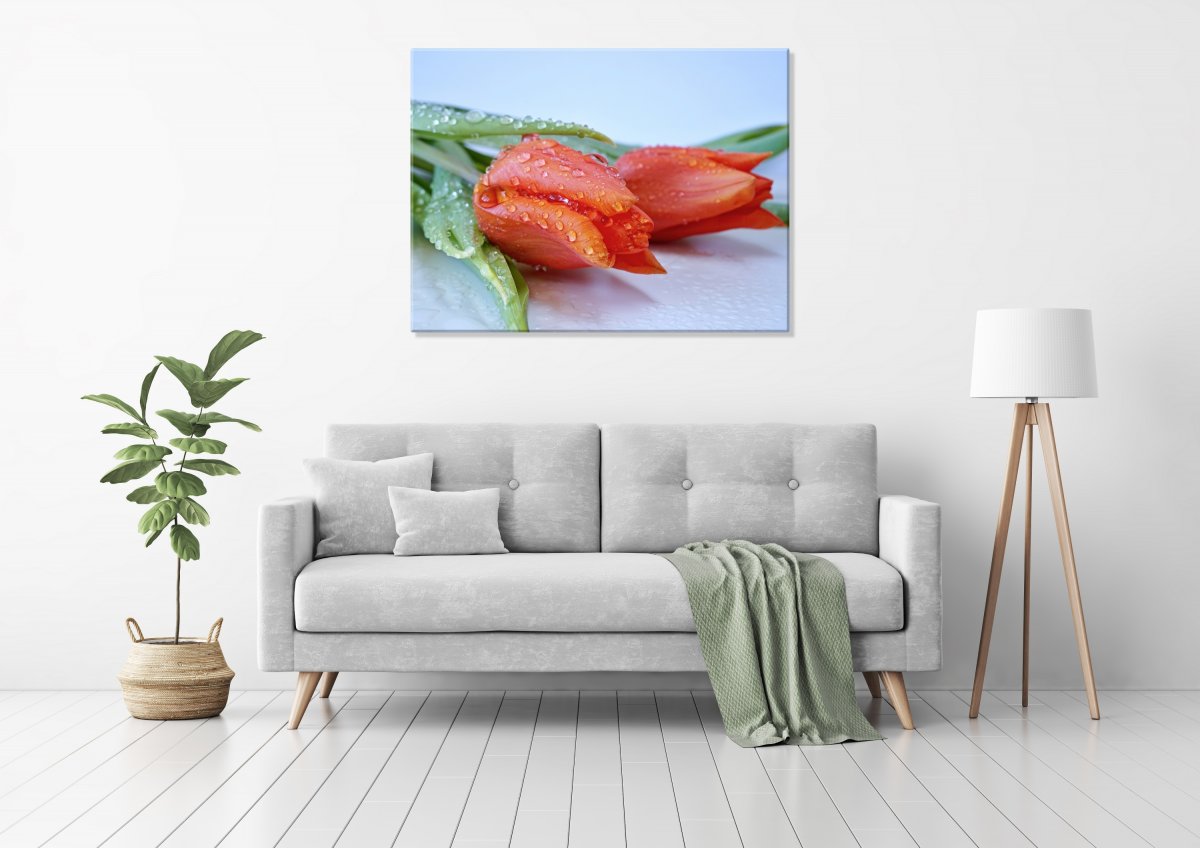 Dva pro lásku (Fotoobraz 60x45 cm)