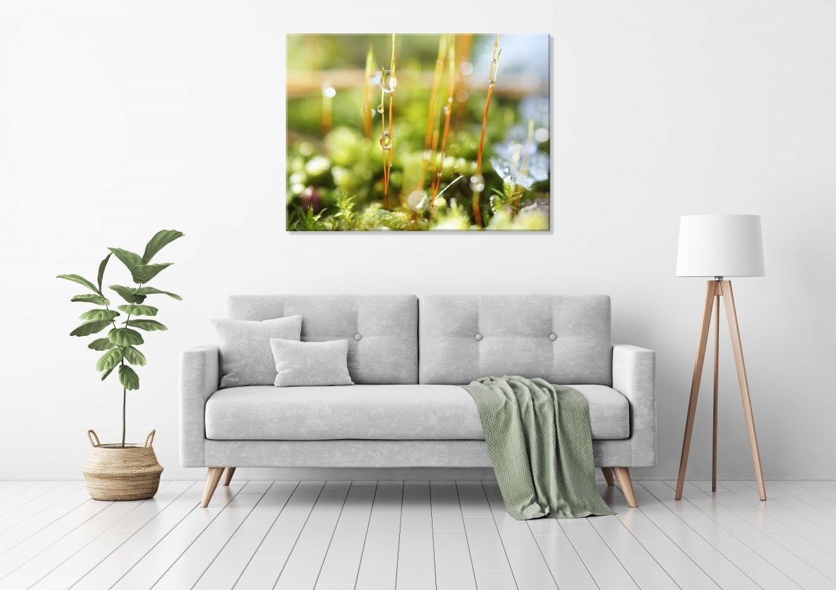 Zářím pro Tebe (Fotoobraz 60x45 cm)