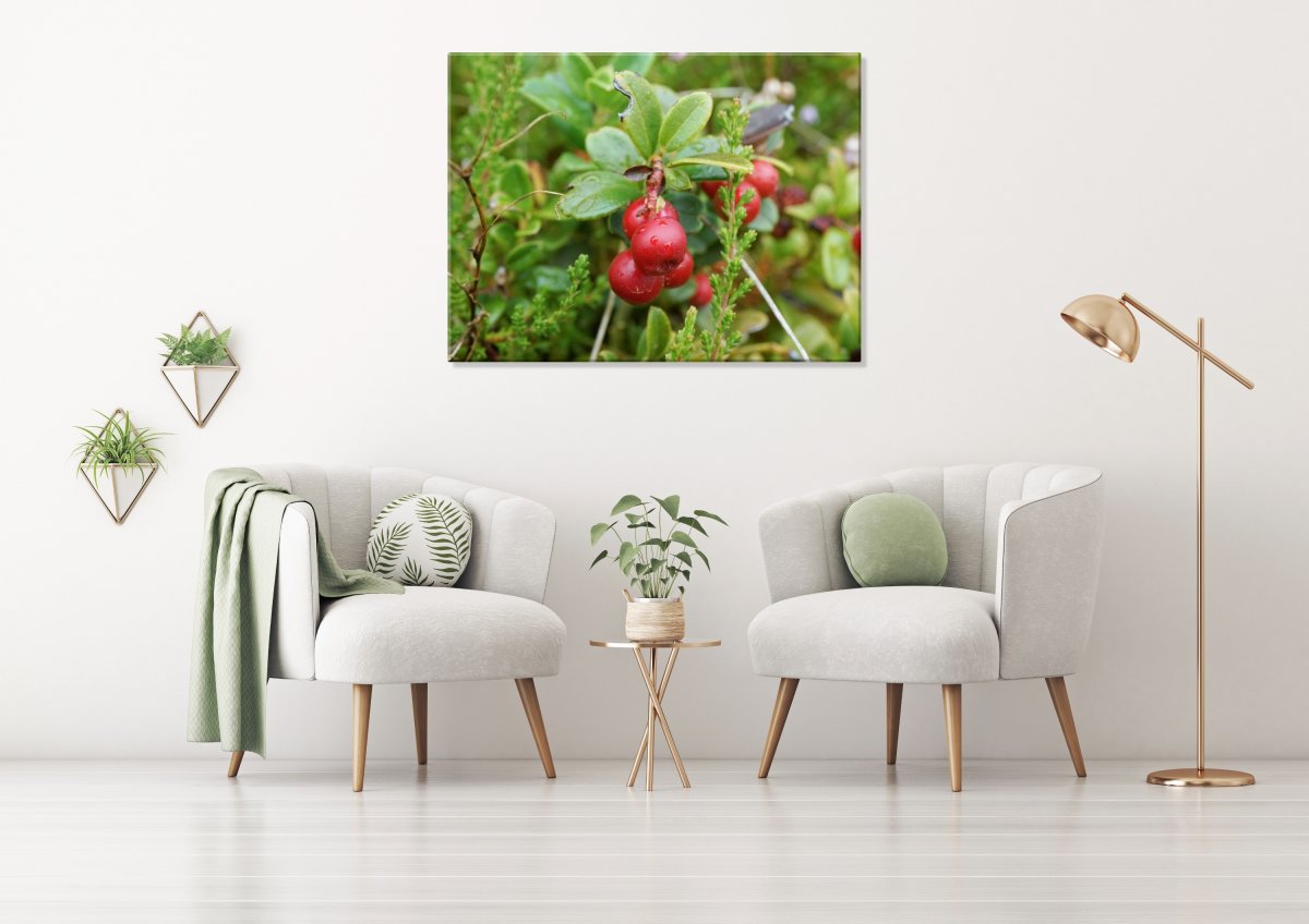 Sladké pokušení (Fotoobraz 60x45 cm)