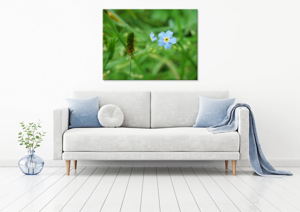 Jemné pohlazení (Fotoobraz 60x45 cm)