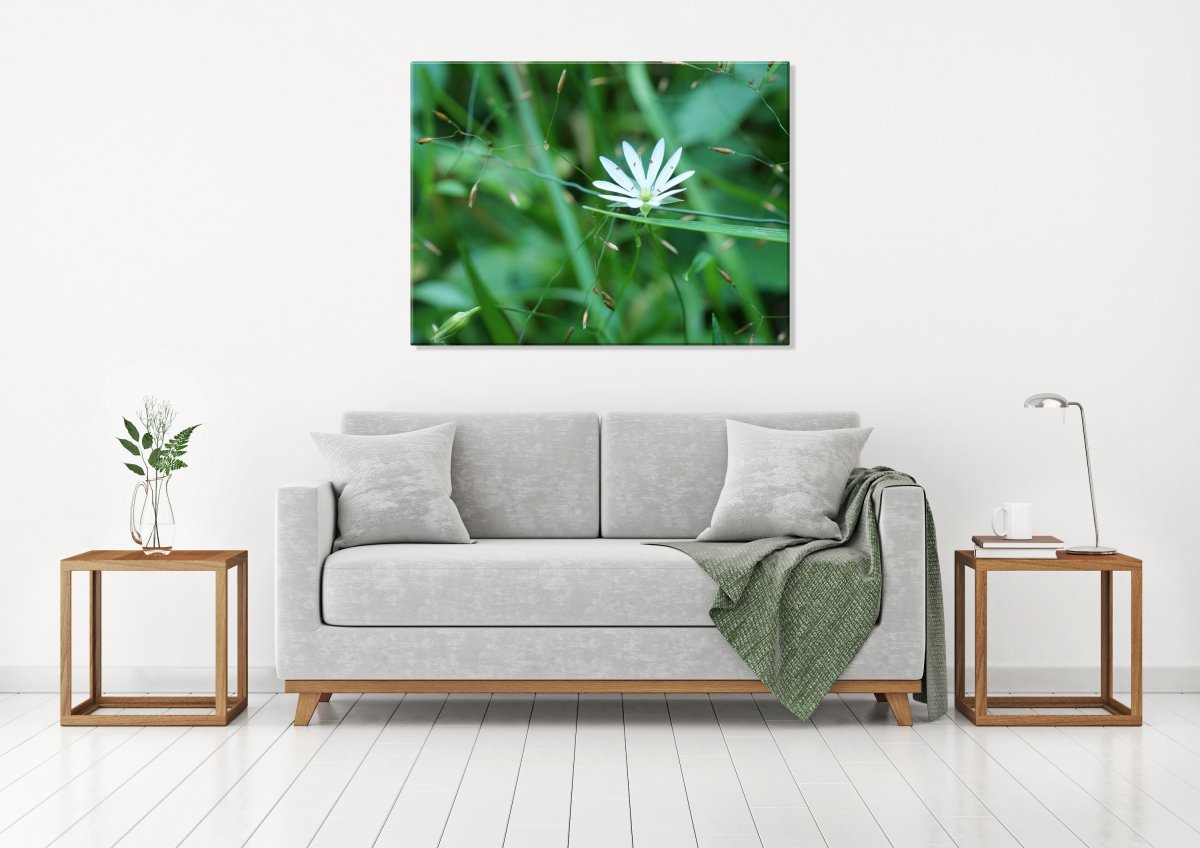 Něžná (Fotoobraz 60x45 cm)