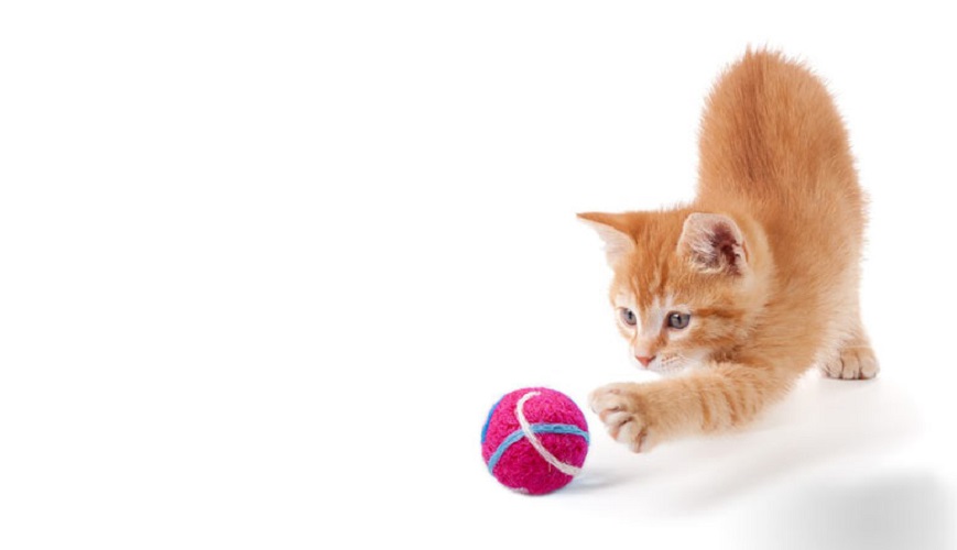 Kulička pro kočku s kozlíkem - Frozen růžová