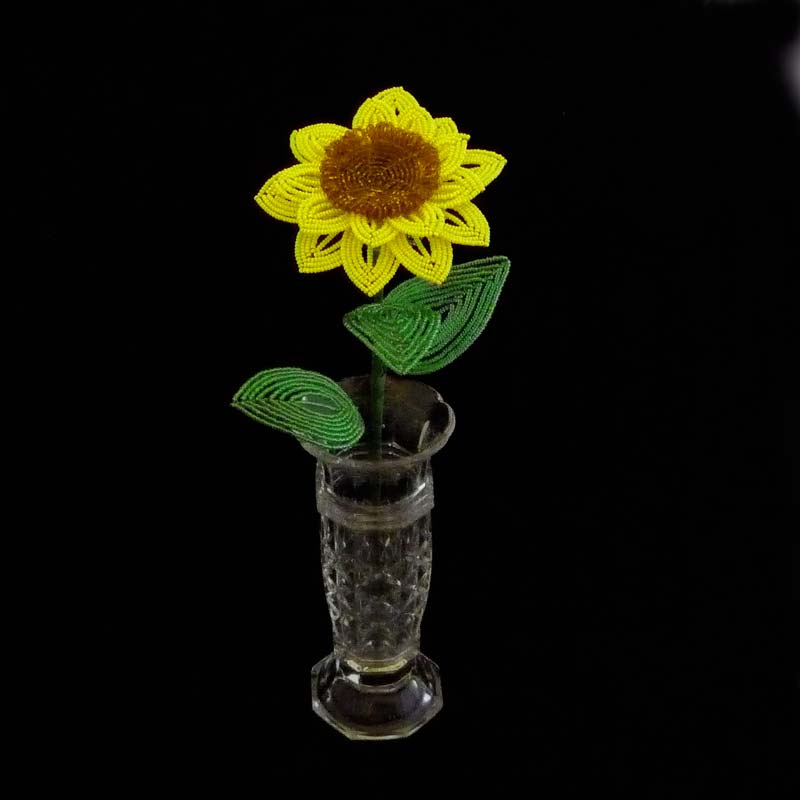 Slunečnice korálková