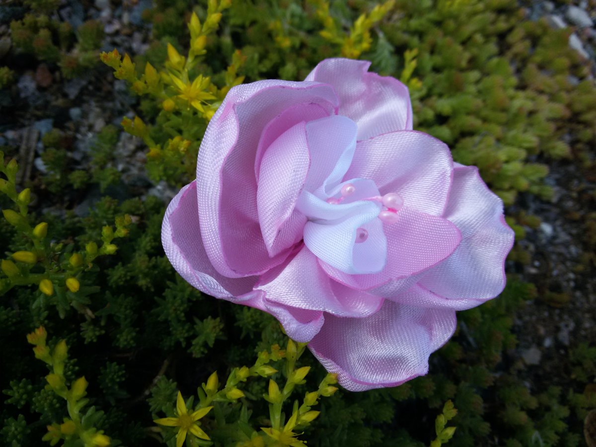 Něžnosti růžovo- bílého kvítku. č.1156