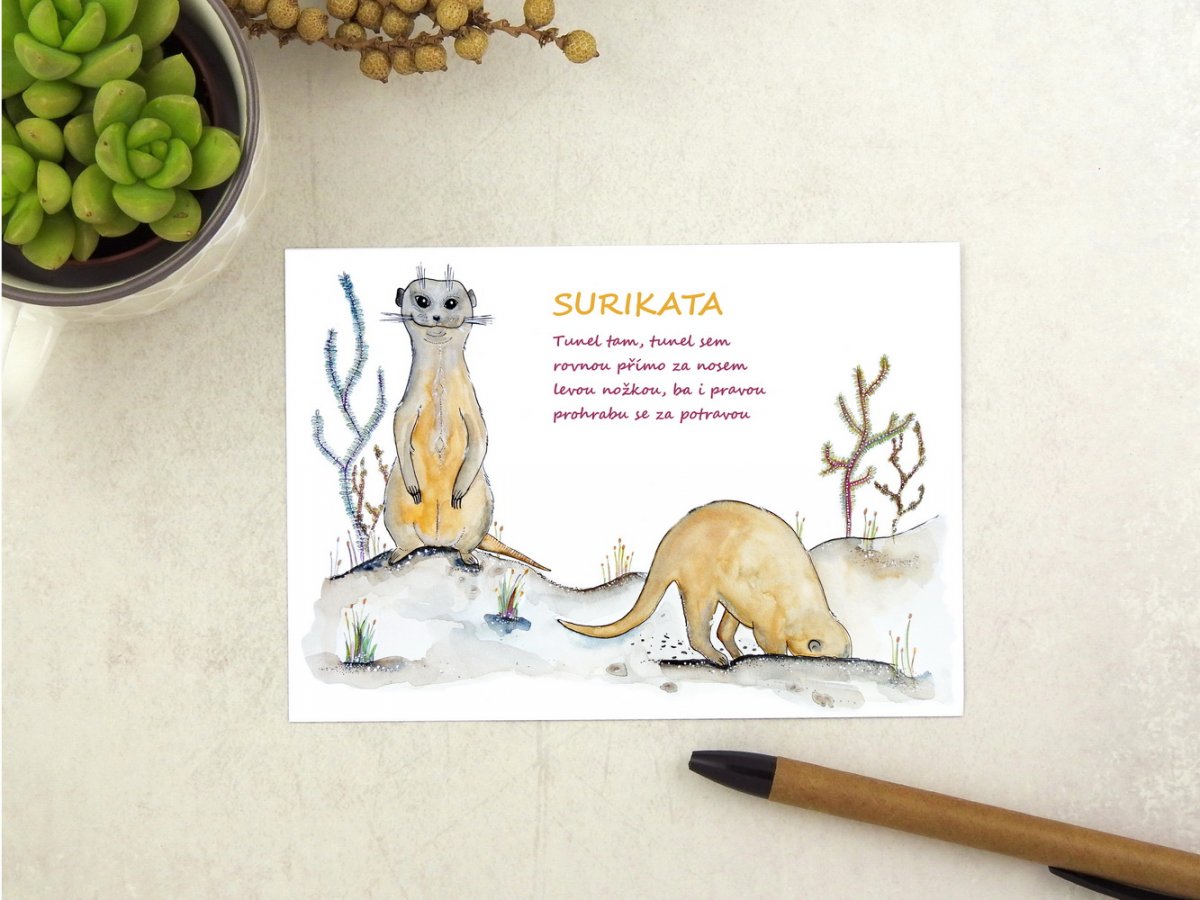 Pohlednice surikaty s říkankou