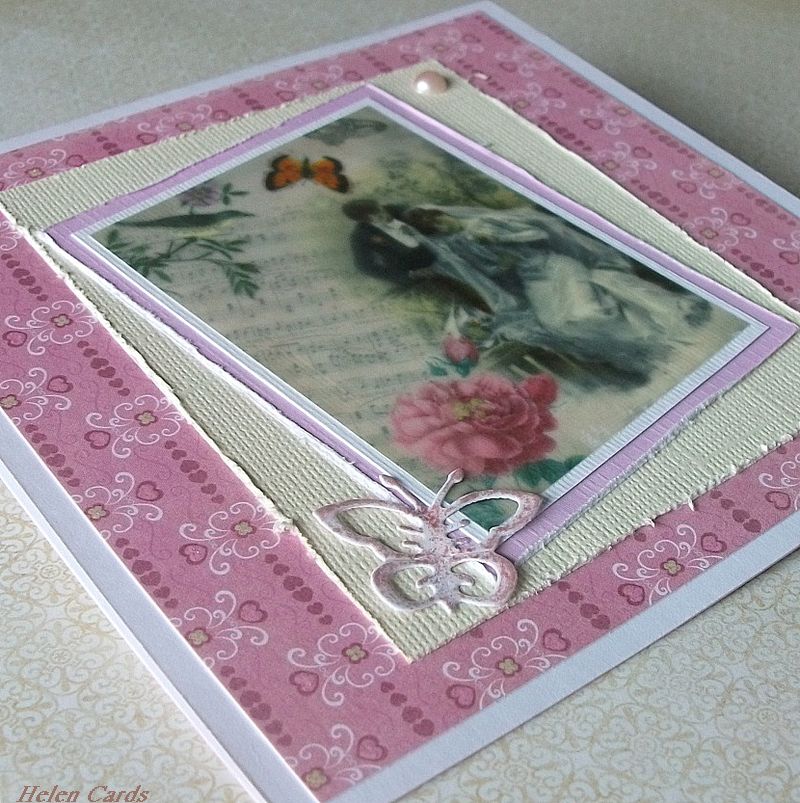 Svatební motýlkové - přání