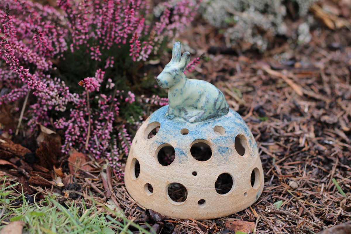 Svítím ti do tmy jako maják... Polární zajíc