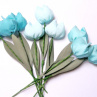 Když jaro přichází a tulipány rozkvétají. č 1055