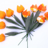 Když jaro přichází a tulipány rozkvétají. č 1034