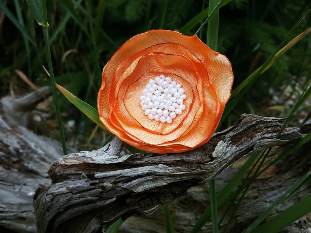 Brož-s příchutí meruňky. č.1169