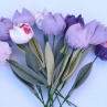 Když jaro přichází a tulipány rozkvétají. č 1084