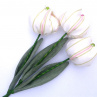 Když jaro přichází a tulipány rozkvétají. č 1038
