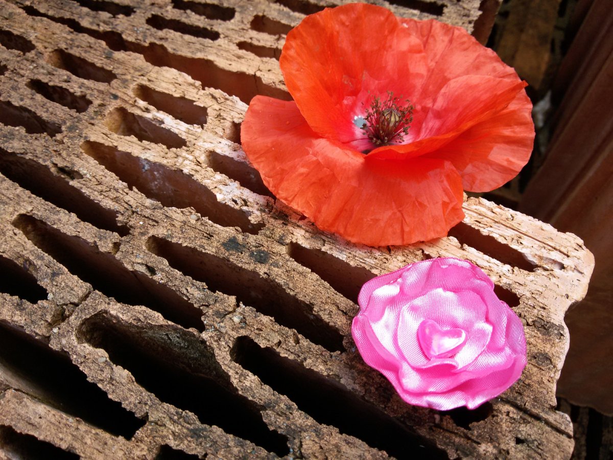 Kytička v růžovém.č.1205