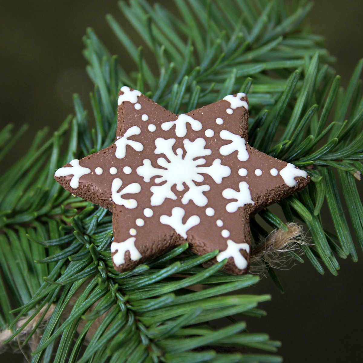 Perníková vločka / hvězda