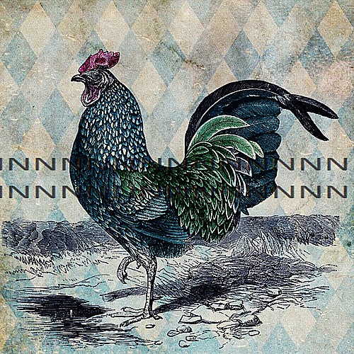 Bavlněná látka - panel  W29