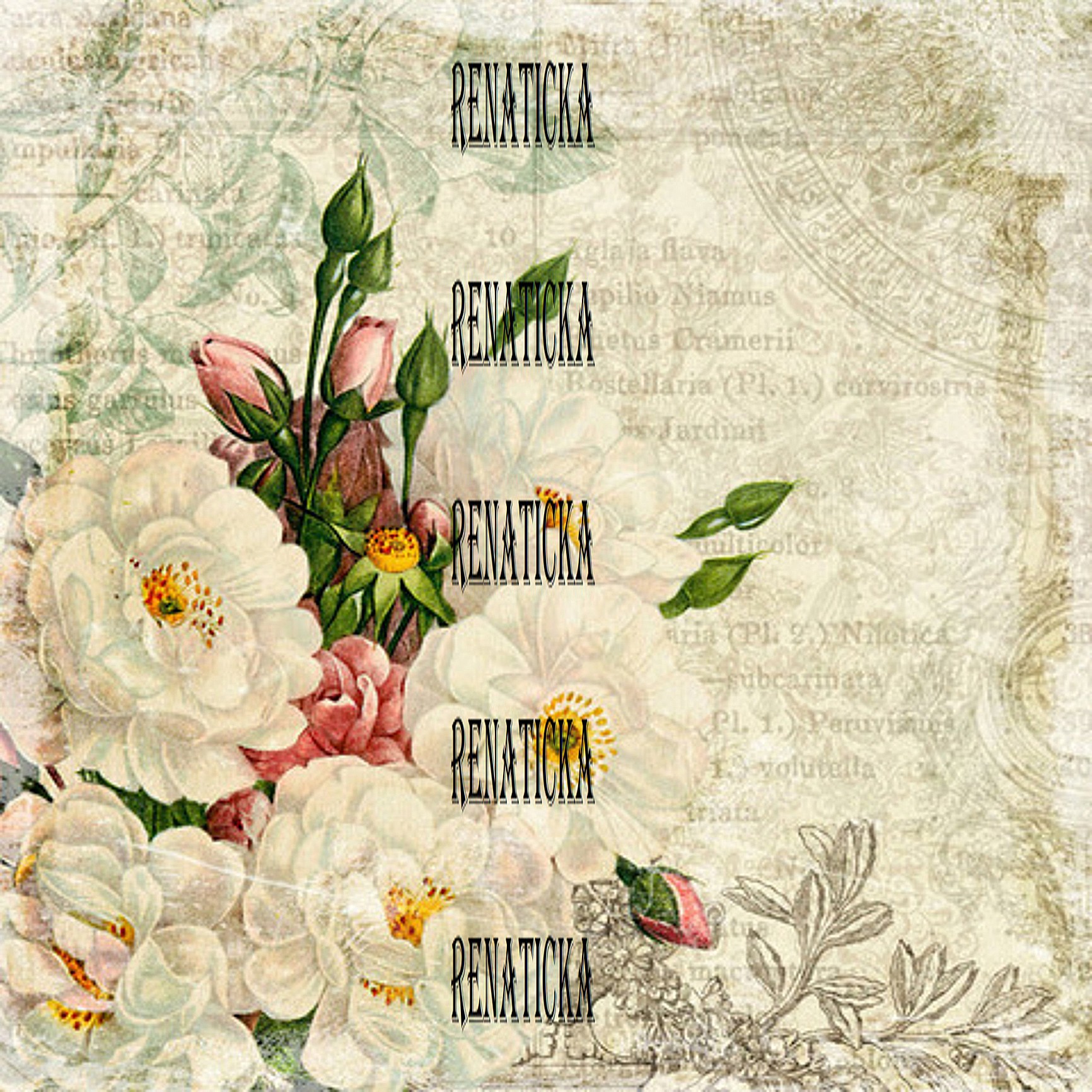 Nažehlovací obrázek w9